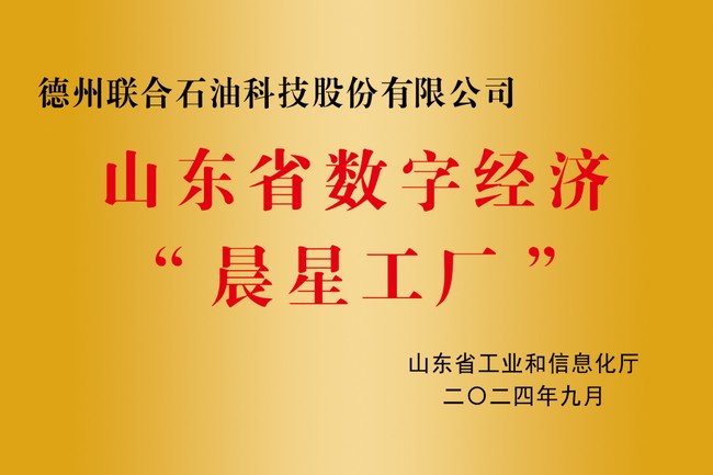 山東省數(shù)字經濟晨星工廠